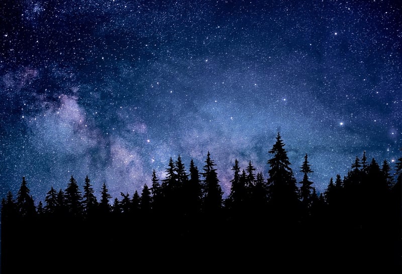 Constellation Escapes